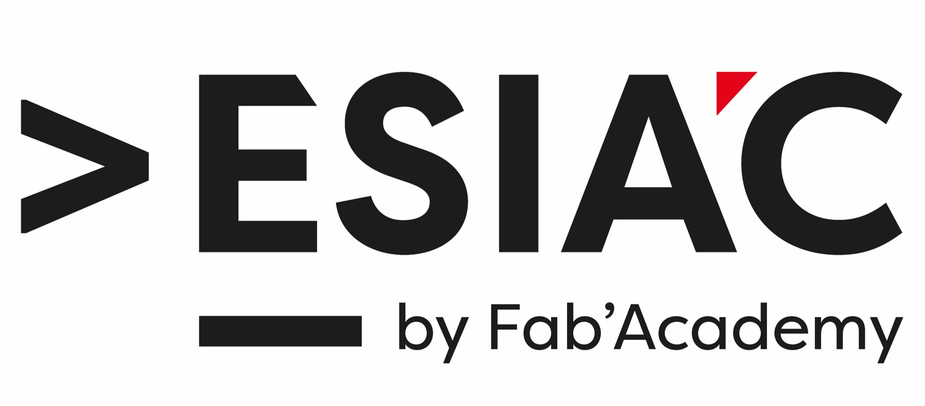 ESIAC_logo_web