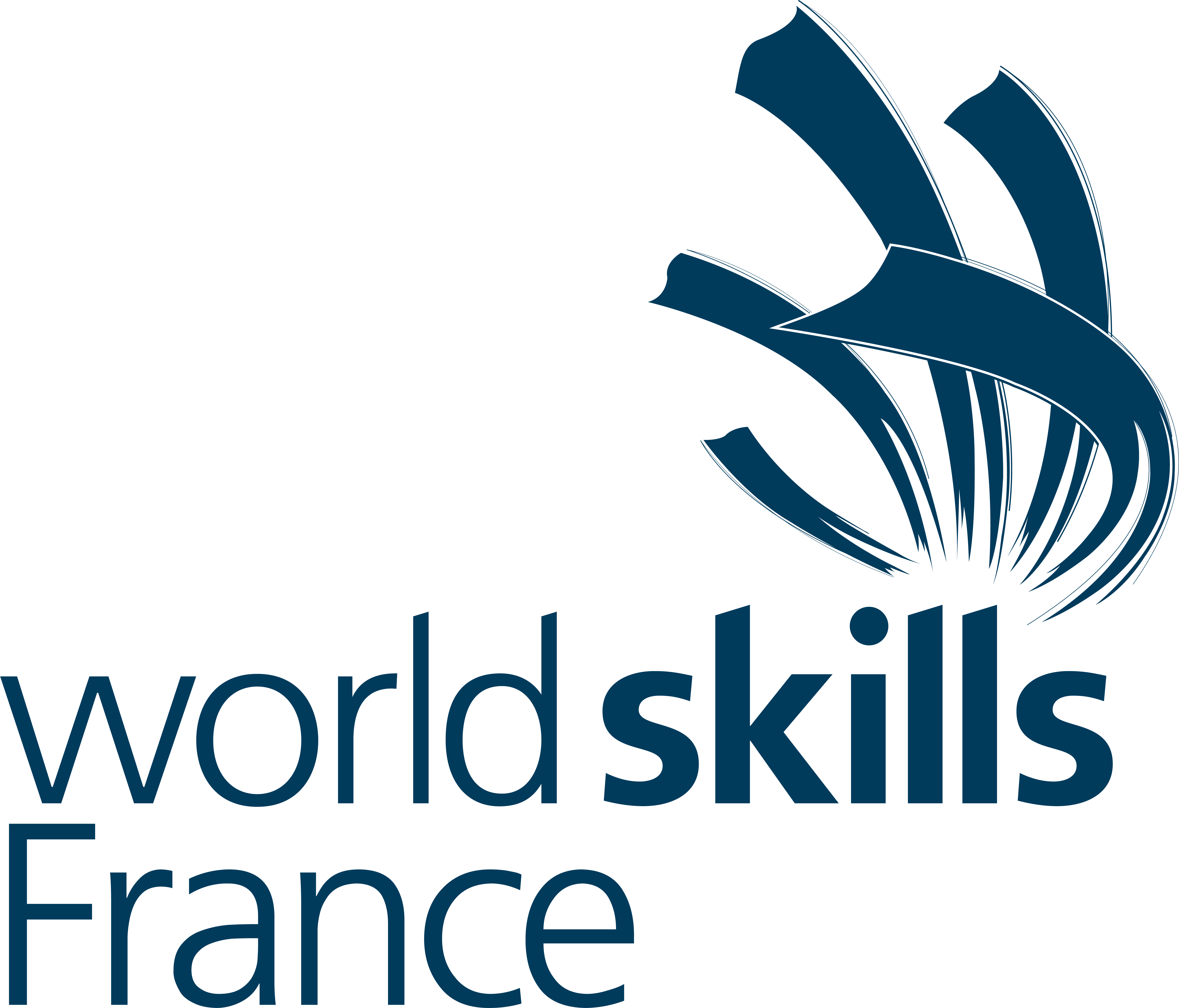 Logo Worldskills